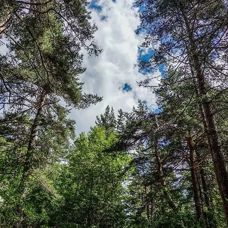 Holiday home Вили Ловен Рай Tsigov Chark